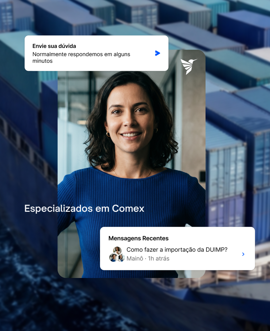 Especialista da Mainô em um terminal de contêineres, ao lado de mensagens do atendimento sobre importação e DUIMP